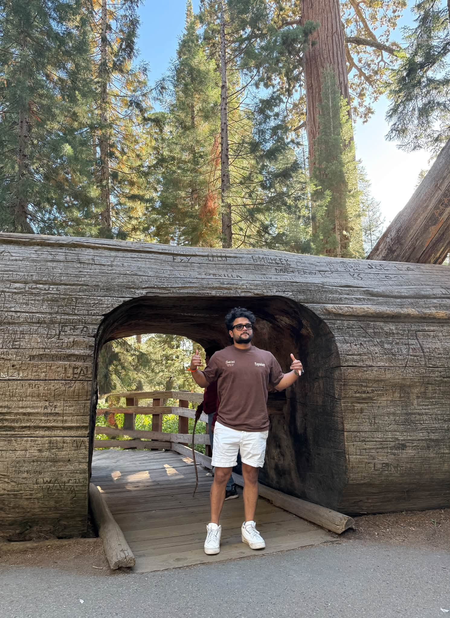 Pramesh standing beneath a fallen tree in a forest